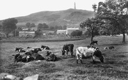 Hoad Hill 1929, Ulverston