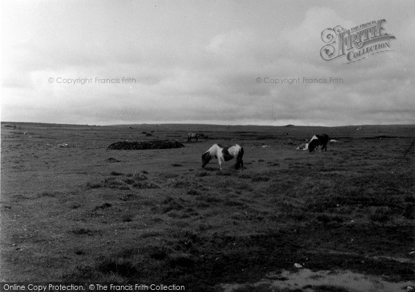 Photo of Unst, Shetland Ponies 1954
