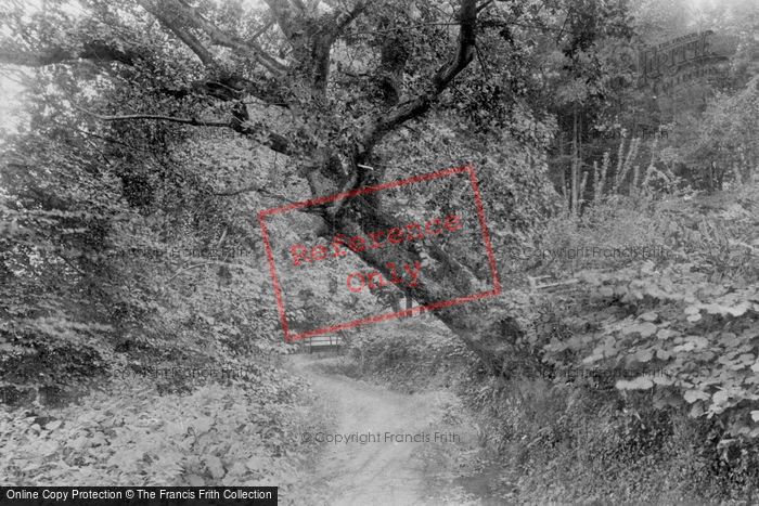 Photo of Uplyme, A Path To The Village 1900