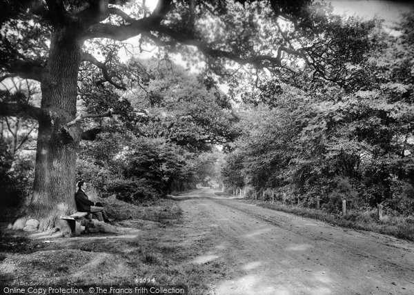 Photo of Upminster, Hall Lane 1909