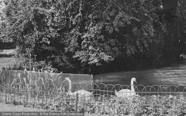 Photo of Upminster, Library Gardens c.1955