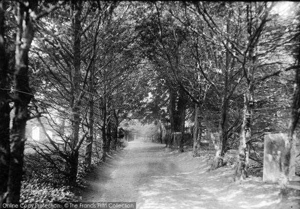 Photo of Upminster, Yew Avenue 1908