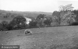 From Severn Fields c.1960, Upper Arley