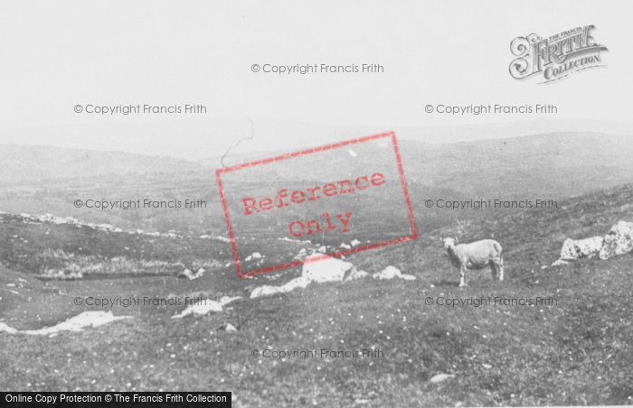 Photo of Upper Brynamman, Black Mountain c.1955