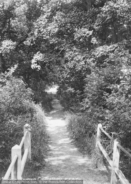 Photo of Upton Upon Severn, The Roman Causeway 1904