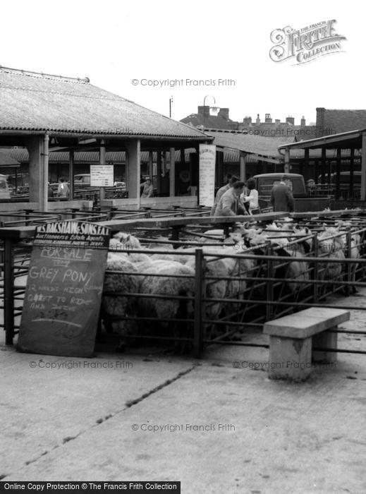 Photo of Uttoxeter, Sheep Sales c.1965