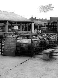 Sheep Sales c.1965, Uttoxeter
