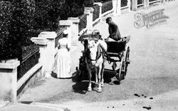 Horse And Cart On The Esplanade 1892, Ventnor