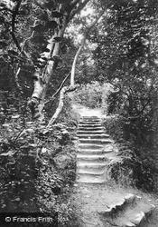 The Landslip Steps c.1900, Ventnor