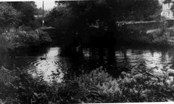 The Water Gardens c.1955, Veryan