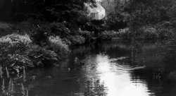 The Water Gardens c.1955, Veryan