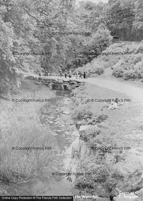 Photo of Virginia Water, View From The Waterfall c.1955