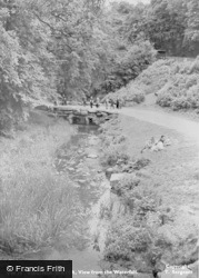 View From The Waterfall c.1955, Virginia Water