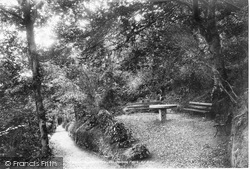 Coronation Park 1903, Wadebridge