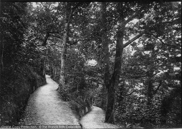 Photo of Wadebridge, Coronation Park 1903