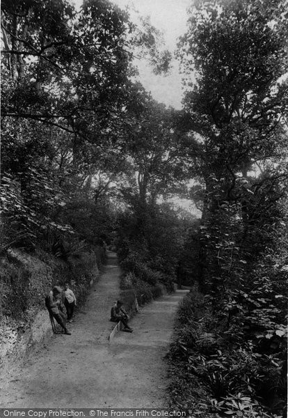 Photo of Wadebridge, Coronation Park 1906