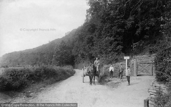 Photo of Wadebridge, Coronation Park And Polmorla Road 1906