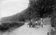 Coronation Park And Polmorla Road 1906, Wadebridge