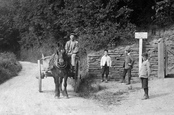 Coronation Park And Polmorla Road 1906, Wadebridge