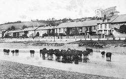 Egloshayle Road c.1900, Wadebridge