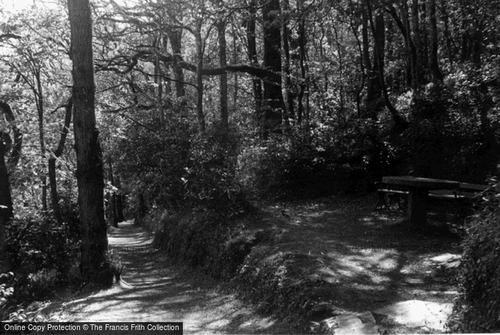 Photo of Wadebridge, The Park c.1955
