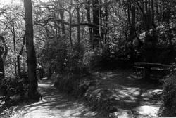 The Park c.1955, Wadebridge
