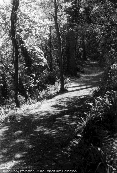 Photo of Wadebridge, The Woods c.1955