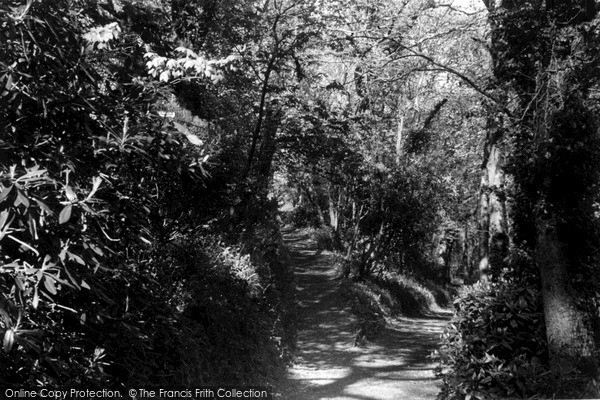 Photo of Wadebridge, The Woods c.1955