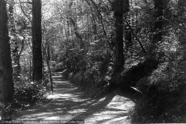 Photo of Wadebridge, The Woods c.1955