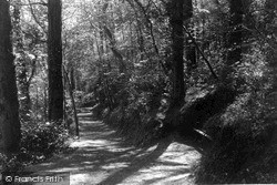 The Woods c.1955, Wadebridge