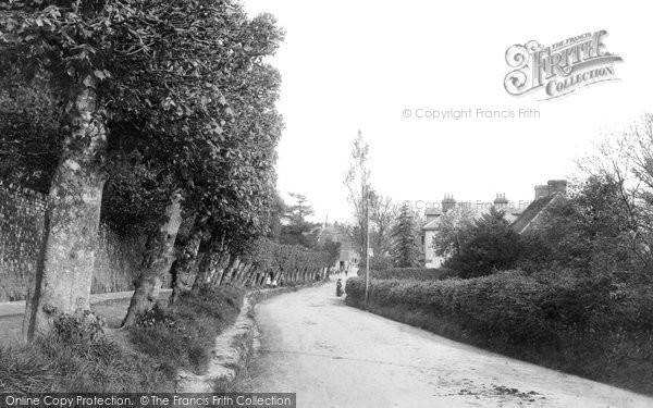 Photo of Wadhurst, The Walk 1903