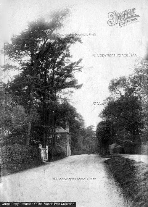 Photo of Wadhurst, The Walk 1903