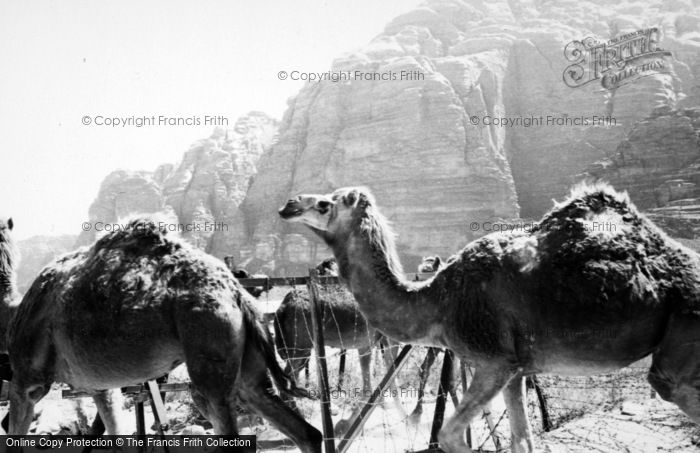 Wadi Rum photo