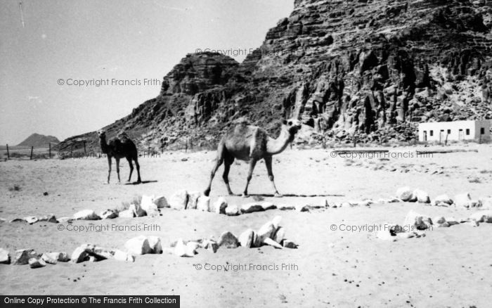 Photo of Wadi Rum, Desert Patrol Camels 1965