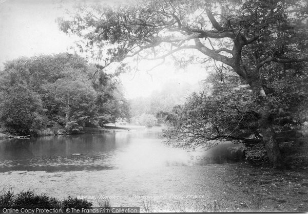 Photo of Waggoners Wells, 1899