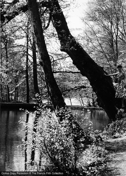 Photo of Waggoners Wells, c.1960