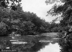 The Lily Lake 1925, Waggoners Wells