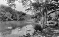 The Trout Lake 1925, Waggoners Wells