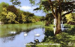 The Trout Lake 1925, Waggoners Wells