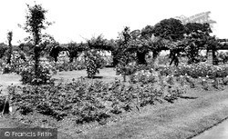 The Rose Gardens, Thornes Park c.1953, Wakefield