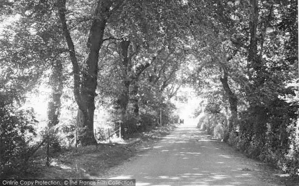 Photo of Waldringfield, Fishponds Lane c.1955