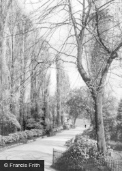 The Poplar Path, Arboretum c.1939, Walsall