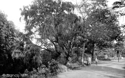 Lloyd Park 1906, Walthamstow