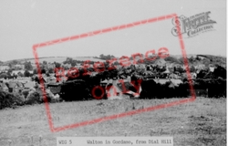 Walton-In-Gordano, From Dial Hill c.1955, Walton In Gordano