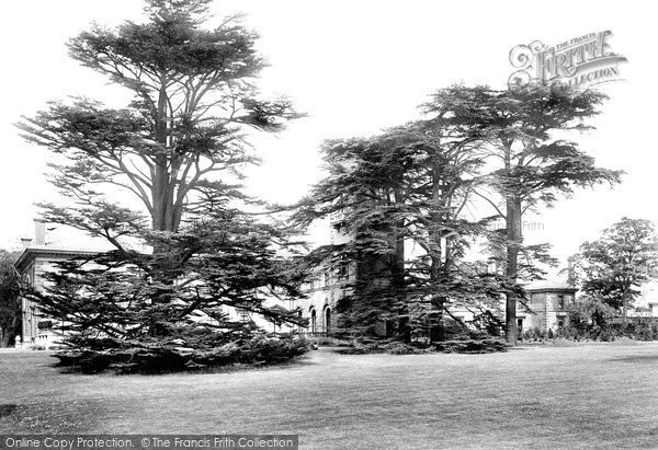 Photo of Walton On Thames, Mount Felix 1899