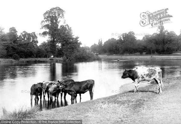 Photo of Walton On Thames, The River 1899