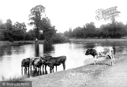 The River 1899, Walton-on-Thames