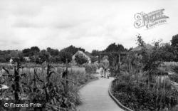 Gardens c.1955, Wannock