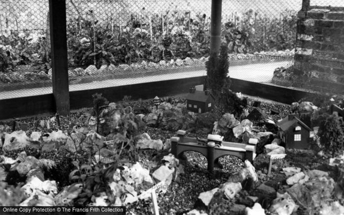 Photo of Wannock, Gardens c.1955