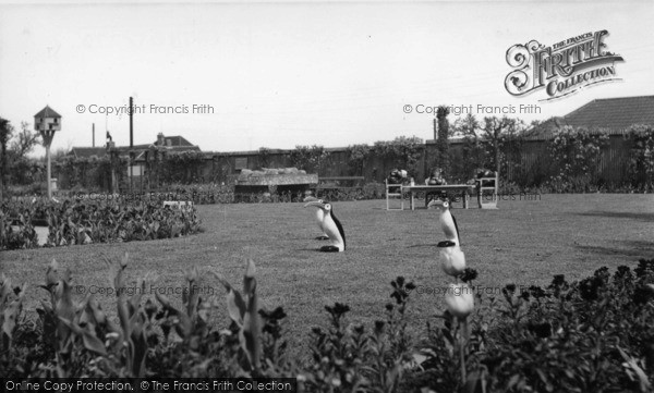 Photo of Wannock, Gardens c.1960